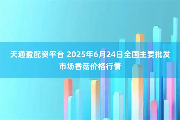 天通盈配资平台 2025年6月24日全国主要批发市场香菇价格行情