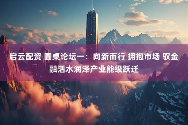 启云配资 圆桌论坛一：向新而行 拥抱市场 驭金融活水润泽产业能级跃迁
